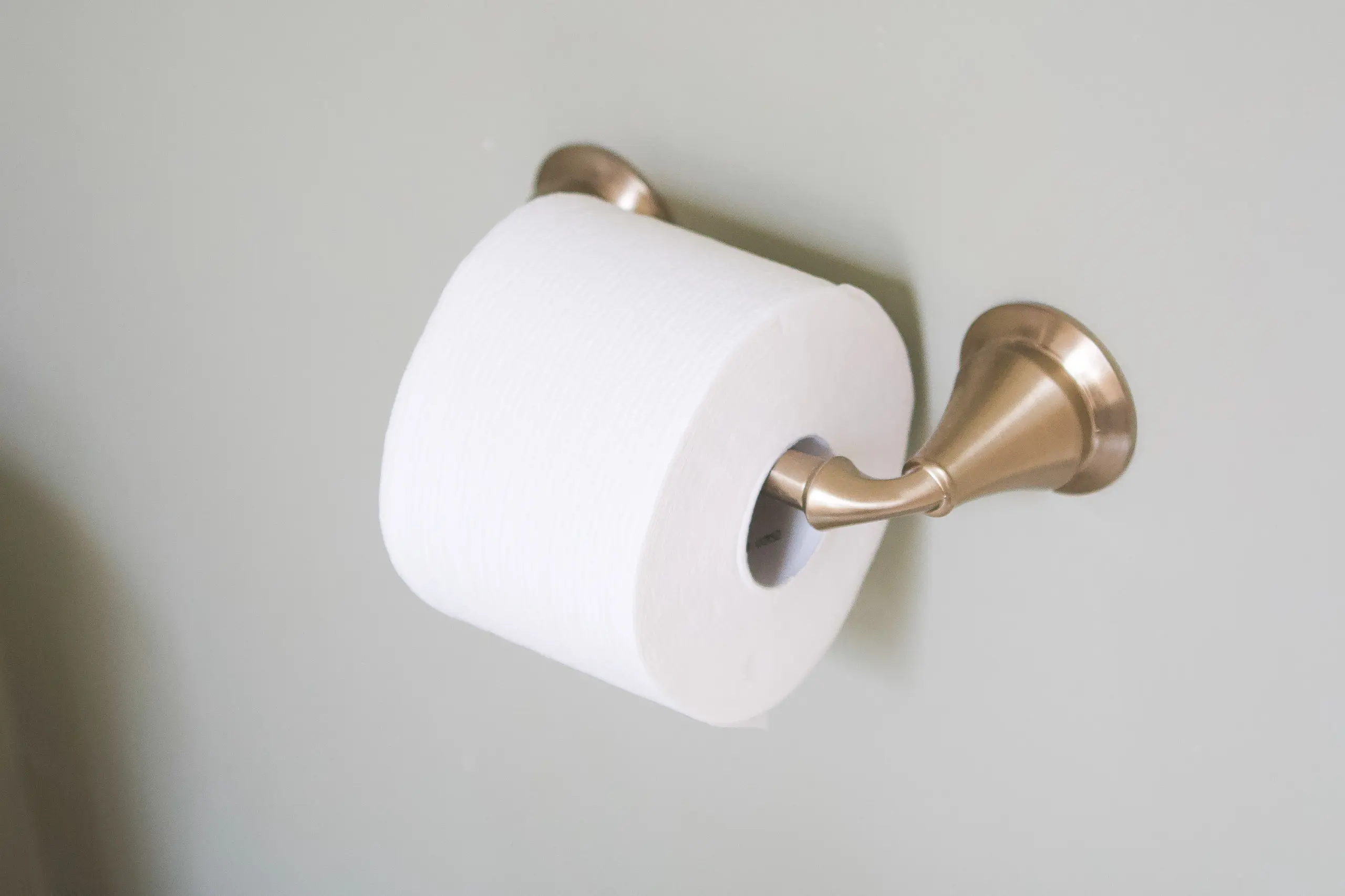 Gold toilet paper holder