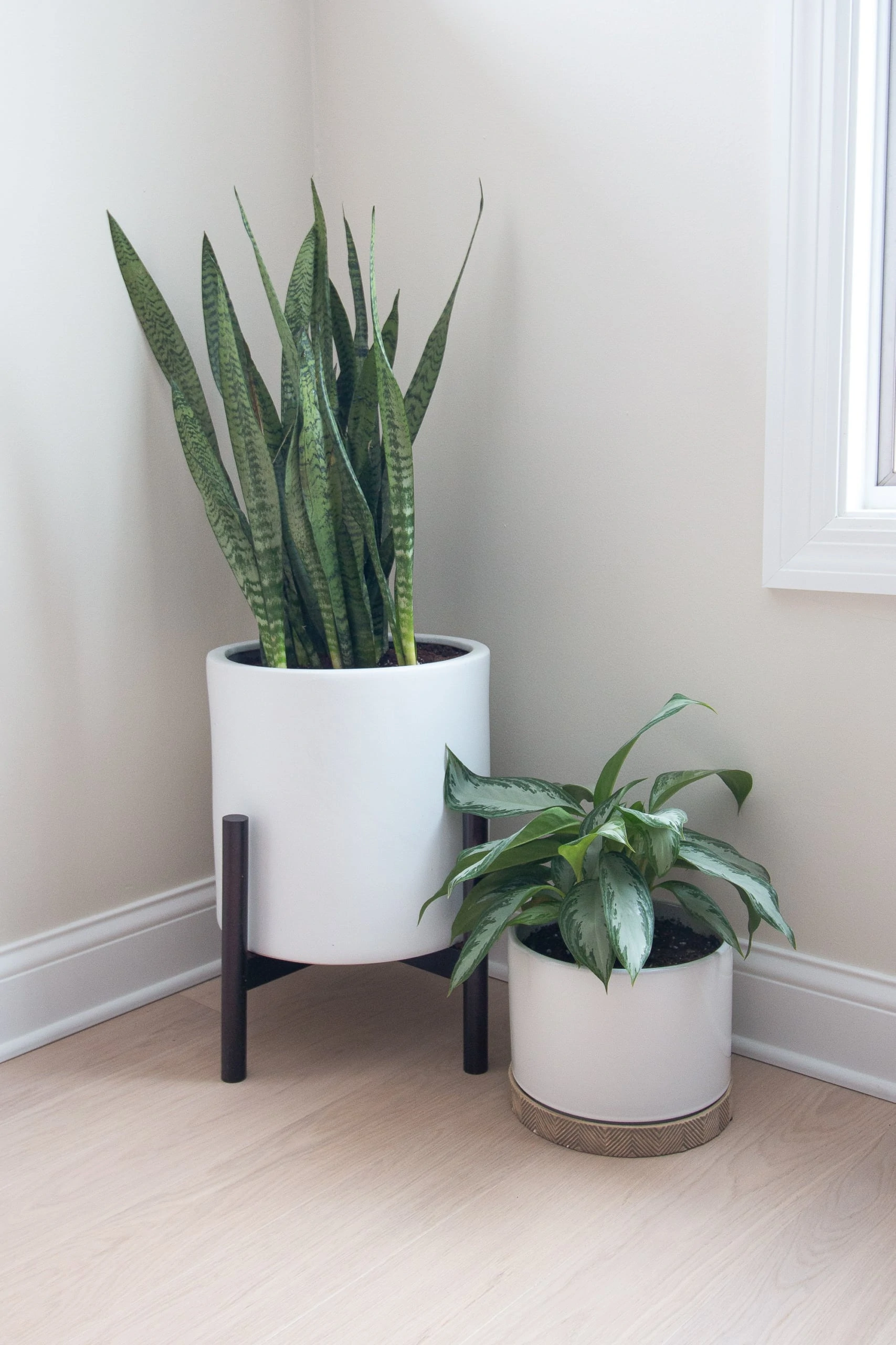 Planters from Amazon